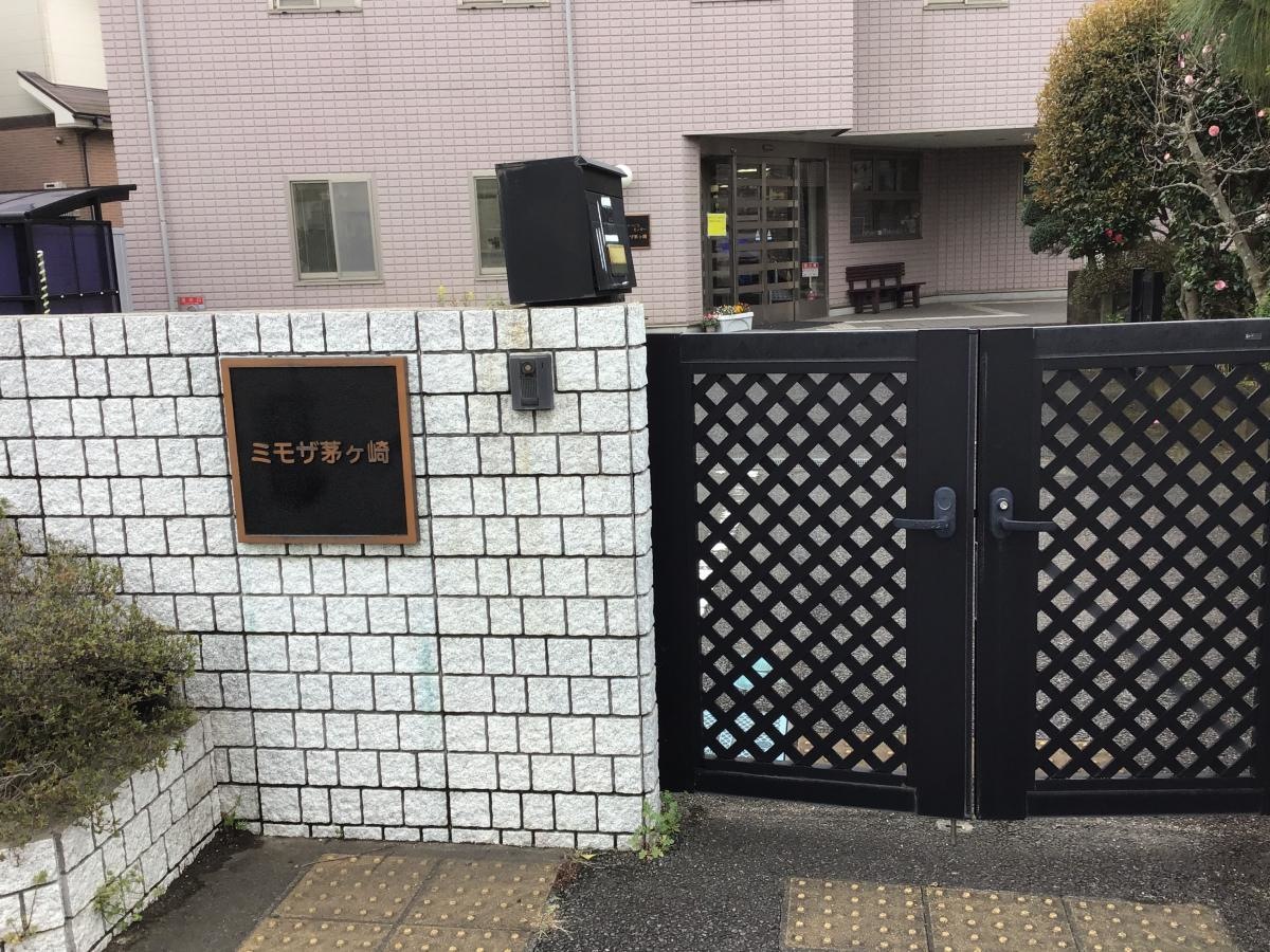 ミモザ茅ケ崎
