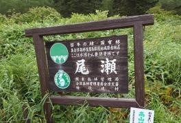 尾瀬国立公園