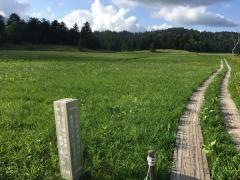 尾瀬国立公園