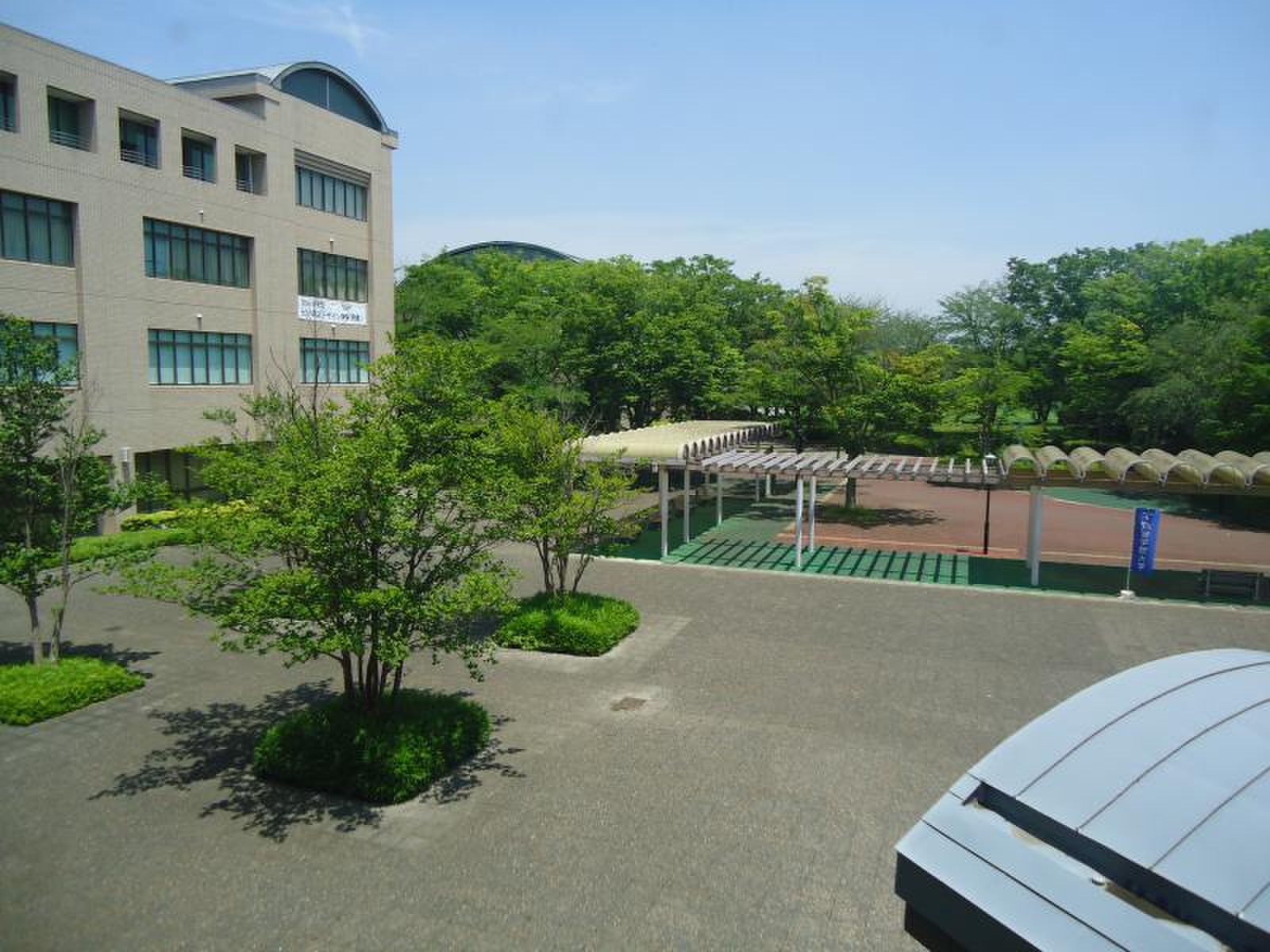 筑波 学院 大学