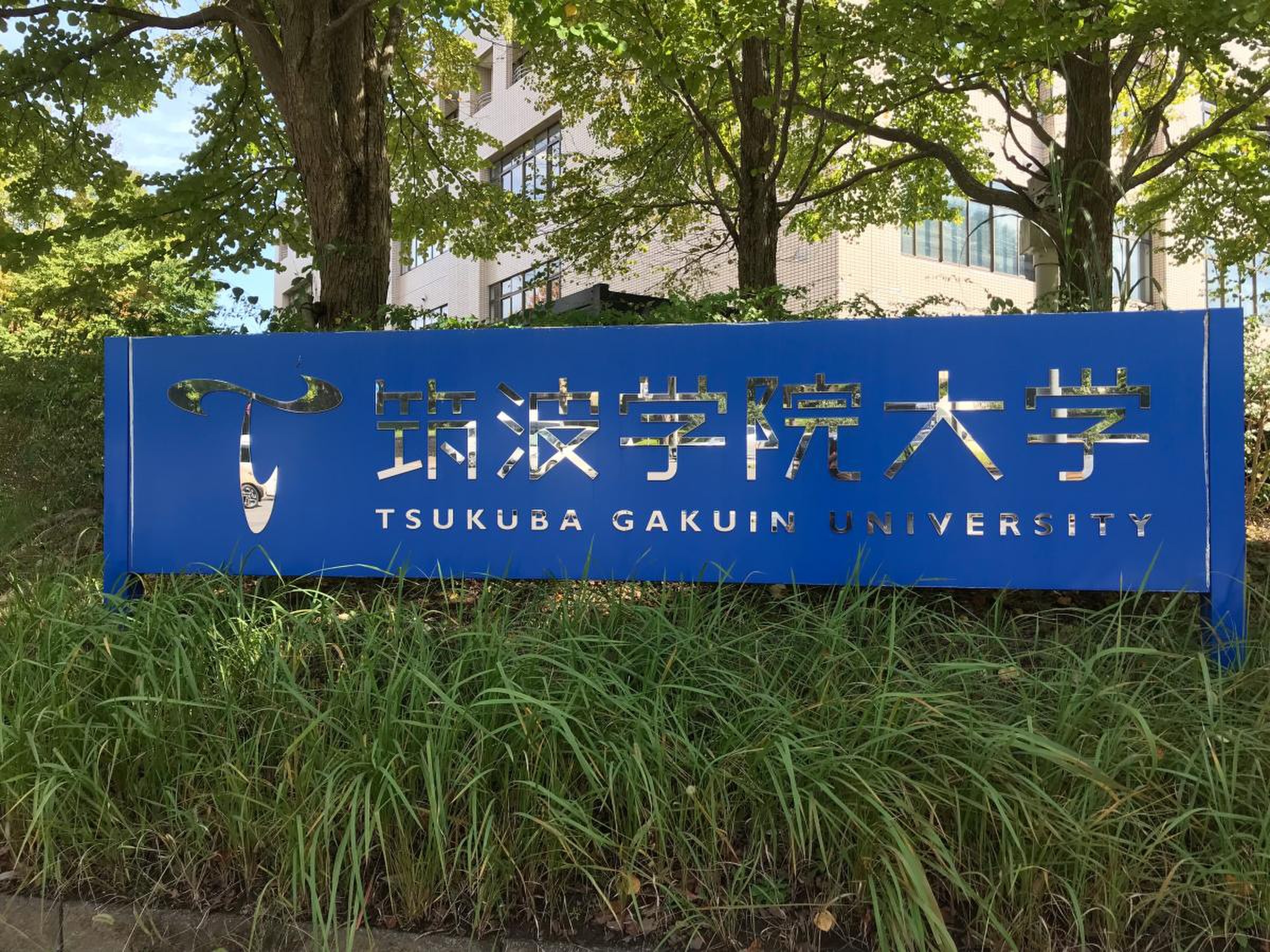 筑波 学院 大学