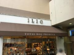 イリオ港北東急店