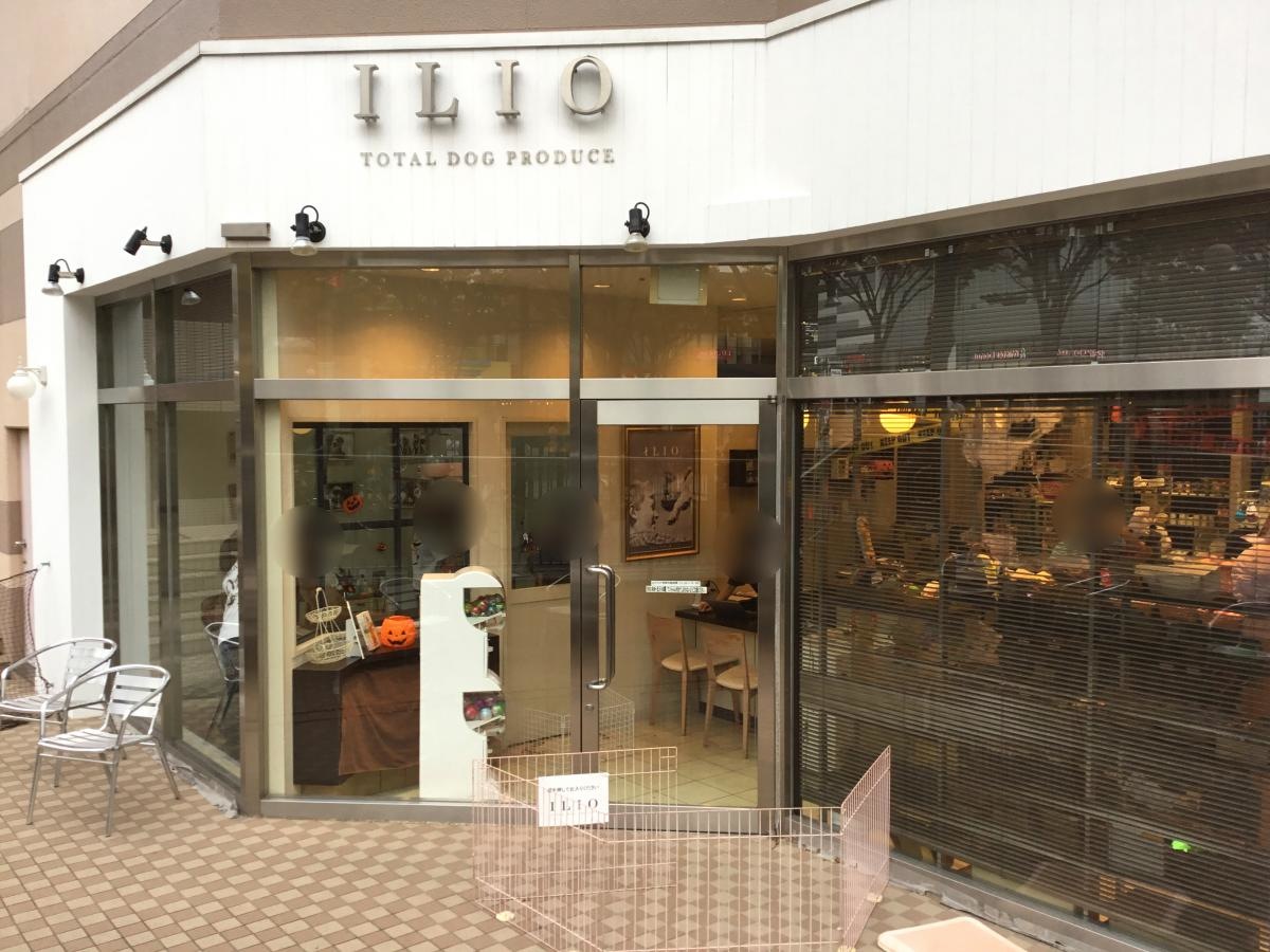 イリオ港北東急店