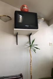 城田医院