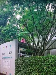 サンタこどもクリニック
