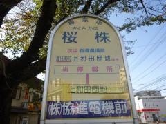 「桜株」バス停留所