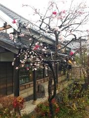 珈琲屋明楽時運　各務原北店