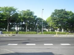 吉田小学校
