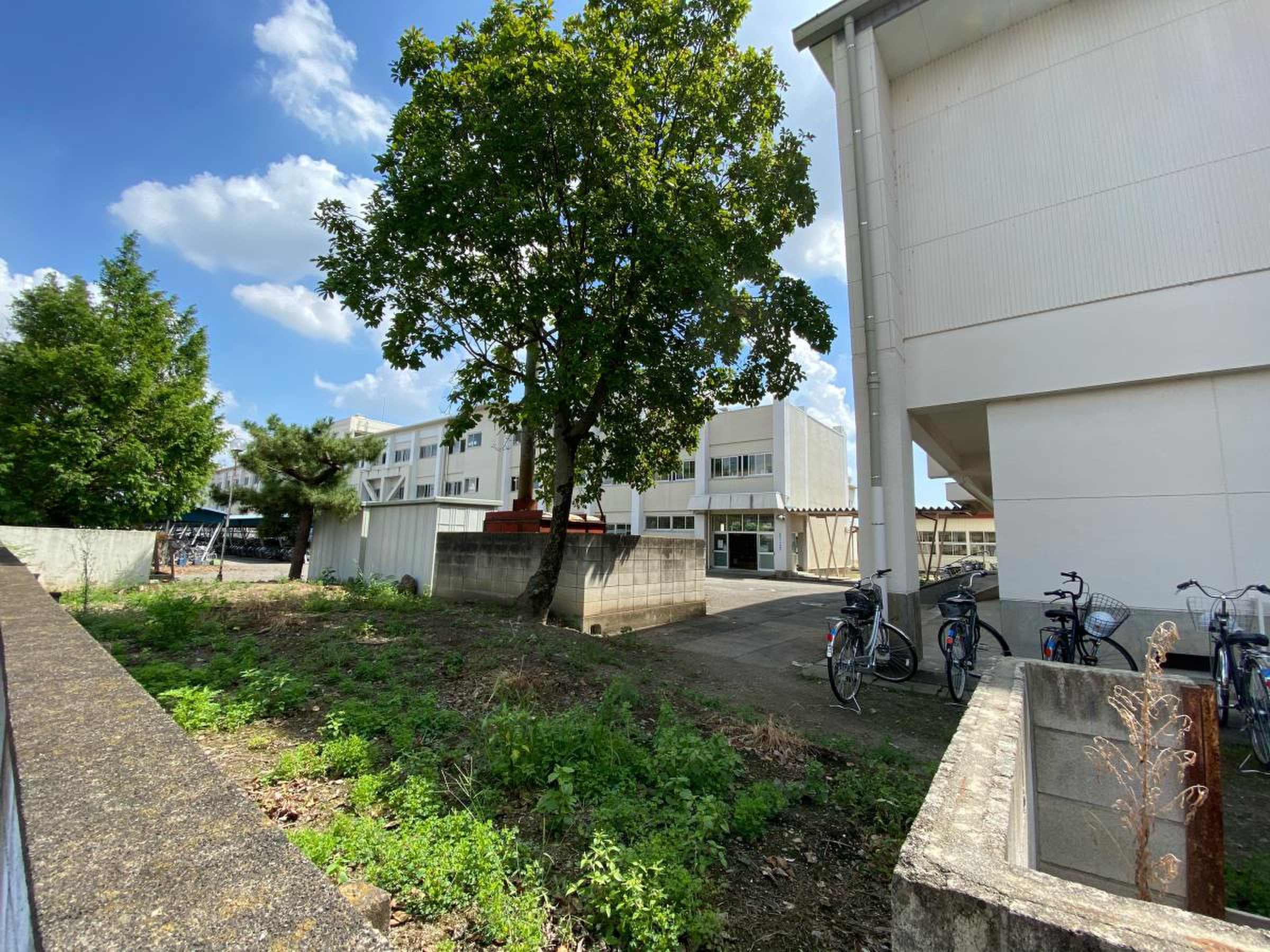 伊勢崎 市立 第 三 中学校