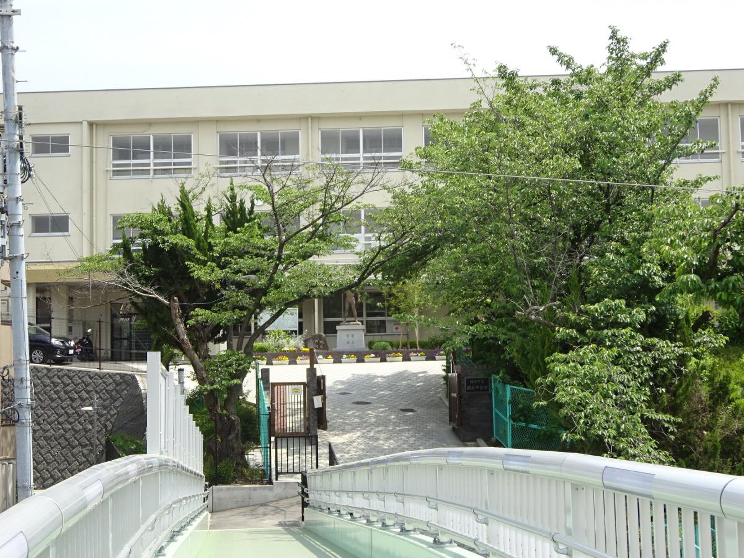 柏原 市立 国分 中学校