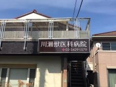 川瀬獣医科病院