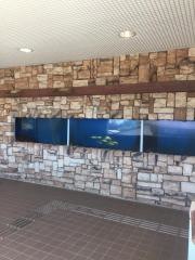 グルメ館豊魚