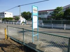 「石塚保育園前」バス停留所