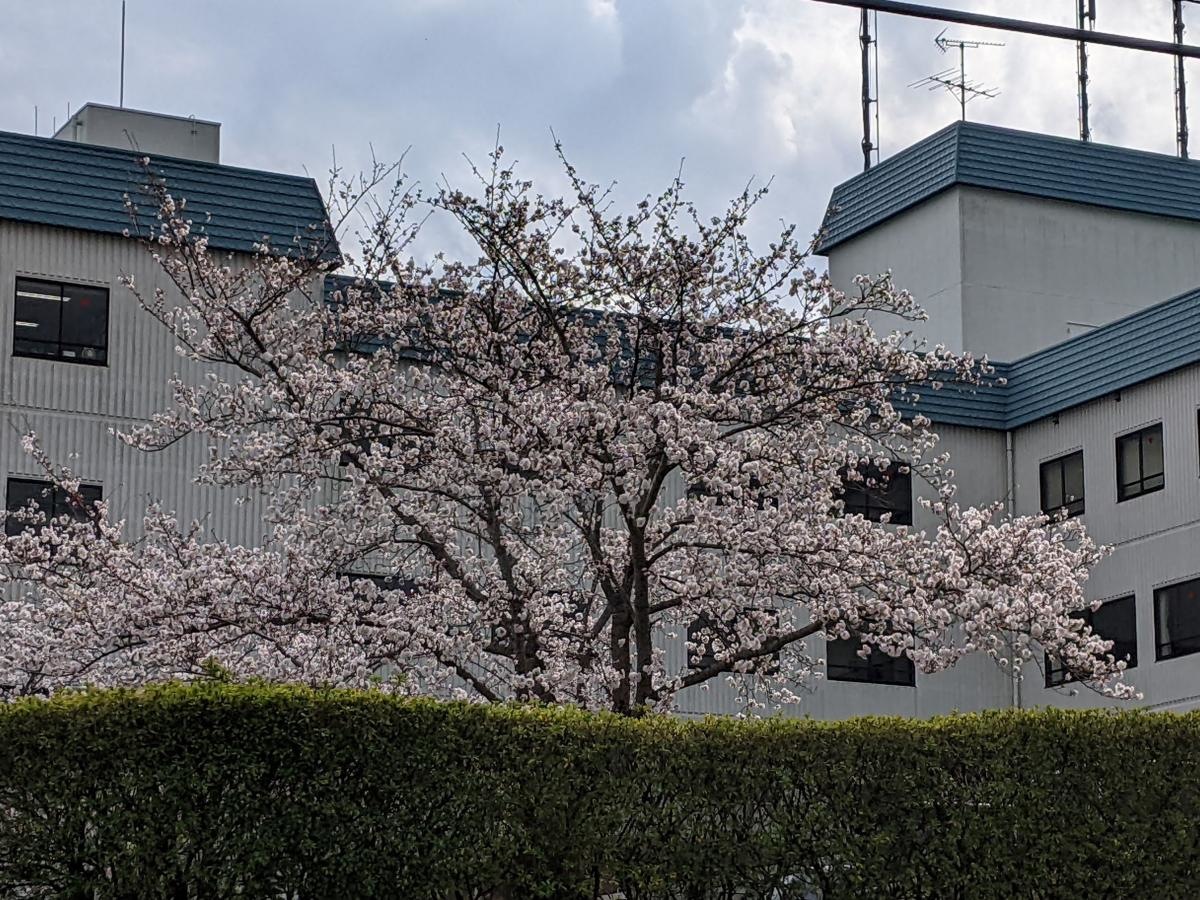 帝京平成大学　ちはら台キャンパス
