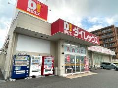 ダイレックス新潟青山店