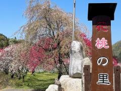 花桃の里