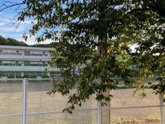 深沢小学校