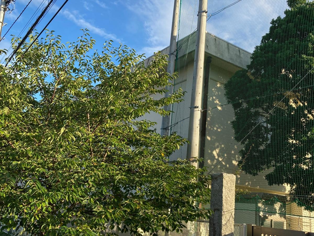 深沢小学校の施設外観です。