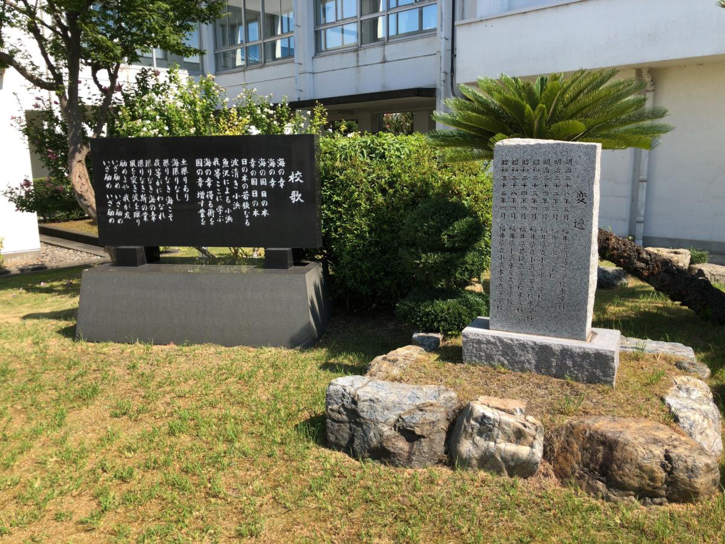 小浜 水産 高校