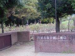芸術の森公園