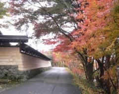 照蓮寺