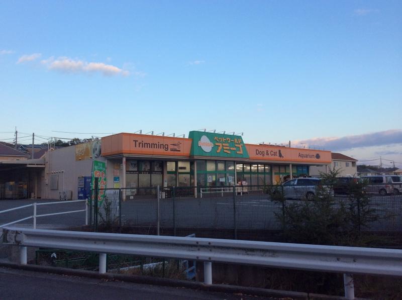 大型店！