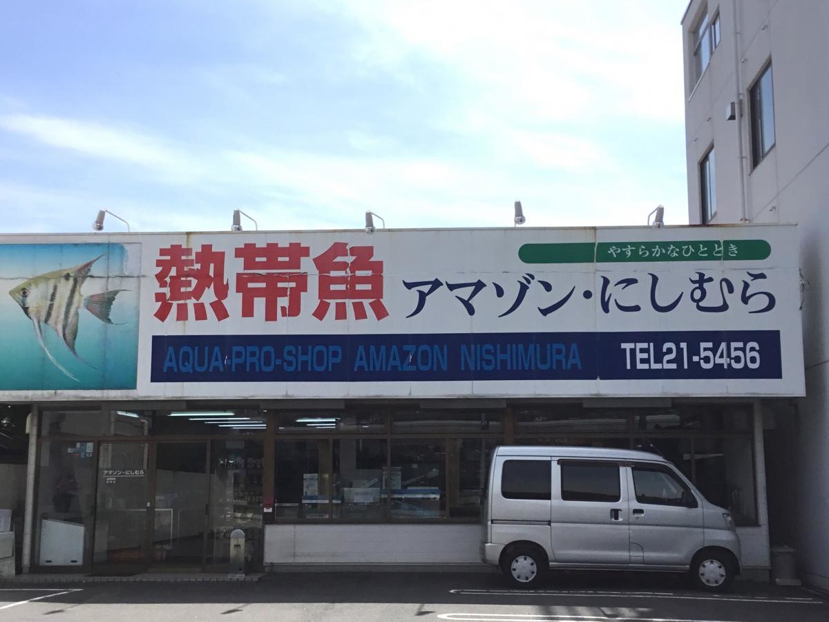 熱帯魚のアマゾンにしむら