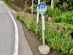 「南郷橋」バス停留所