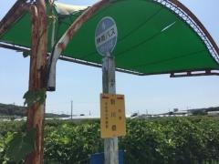 「新川橋」バス停留所
