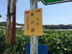 「新川橋」バス停留所