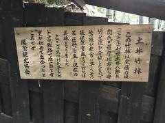 土井竹林