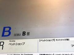 モントゥトゥ渋谷西武店