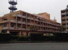 サンシャイン