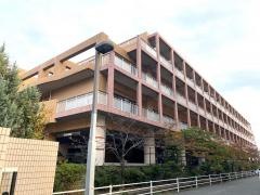 サンシャイン