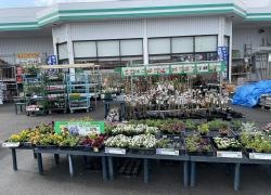 コメリハード＆グリーン　岩手山田店