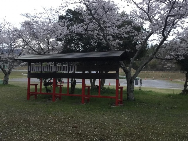 投稿写真1