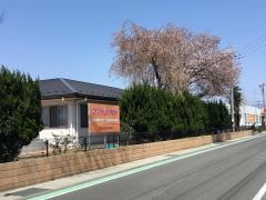 国分寺幼稚園