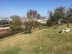 滝の水公園