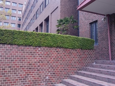 スタディピア 武庫川女子大学短期大学部 西宮市