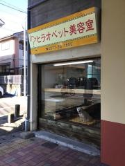 ヒラオペット