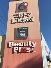 コルトン動物病院