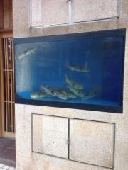 とらふぐ亭草加店
