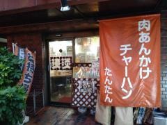 淡淡
