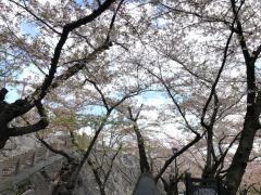 「盛岡城跡公園」バス停留所