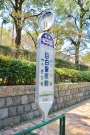 「目白警察前」バス停留所