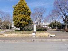 「運動公園前」バス停留所