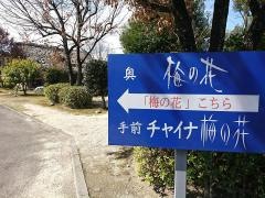 チャイナ梅の花　佐賀大和店