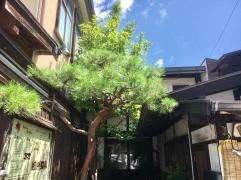 馳走屋　侘助