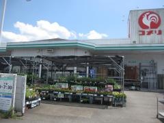 コメリハード＆グリーン　脇町店