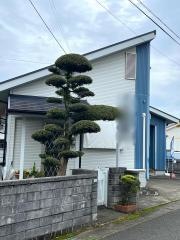 しのはら接骨院